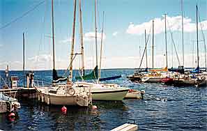 The harbour