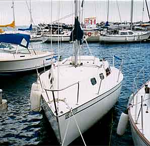 Our Shock 23